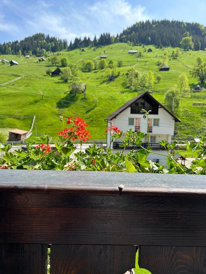Casa Mia Hotel Moeciu De Sus Luaran gambar