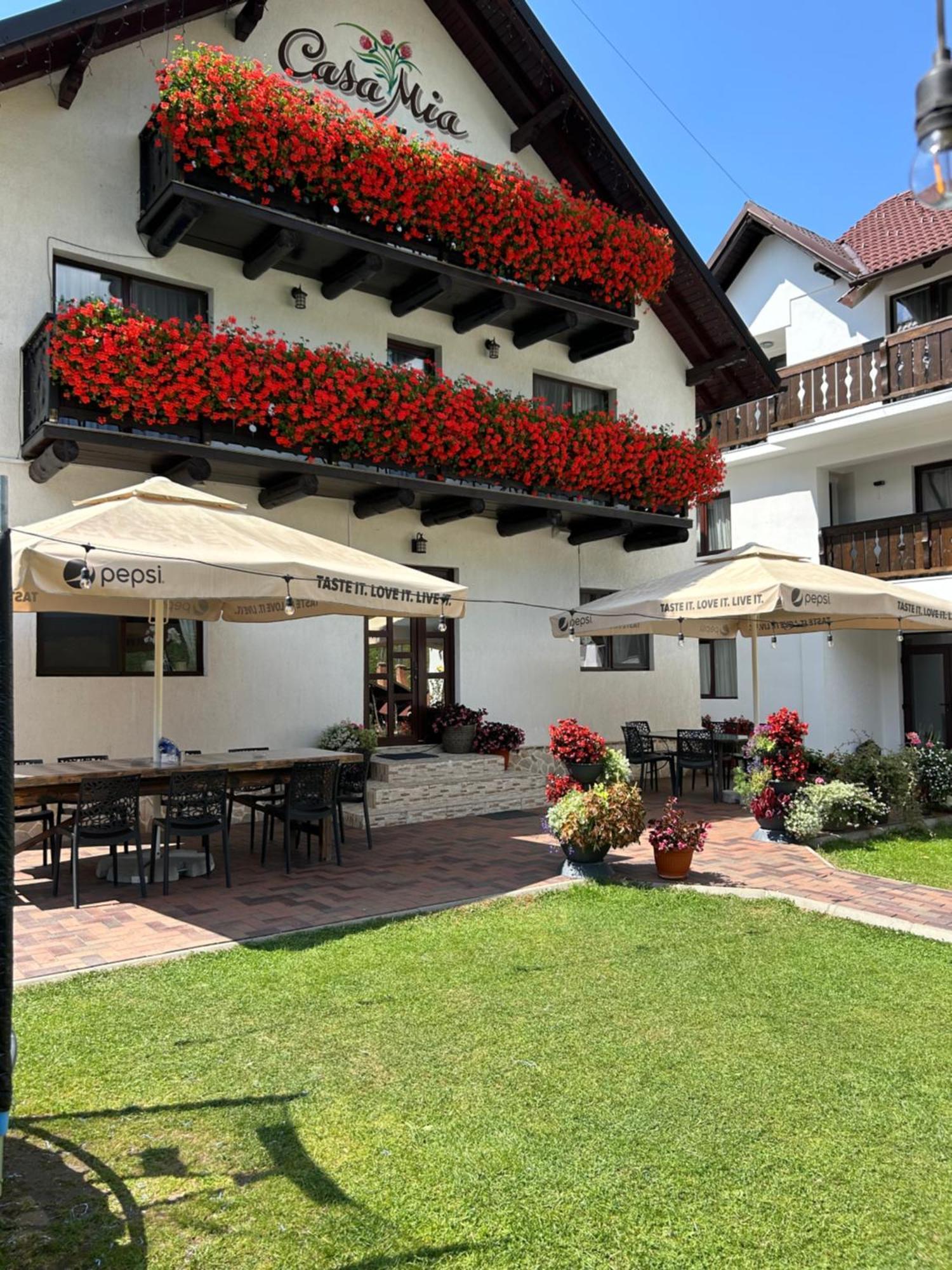 Casa Mia Hotel Moeciu De Sus Luaran gambar