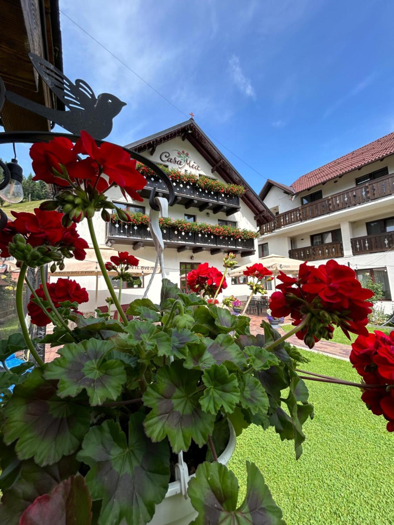 Casa Mia Hotel Moeciu De Sus Luaran gambar