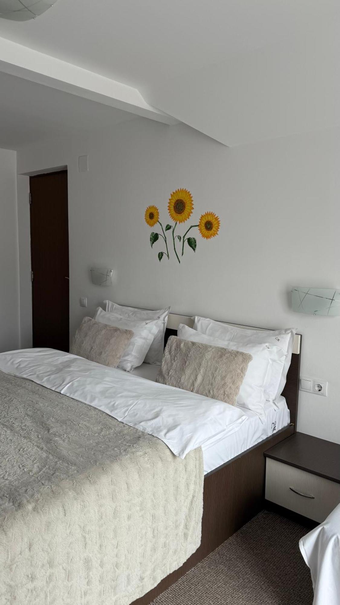 Casa Mia Hotel Moeciu De Sus Luaran gambar